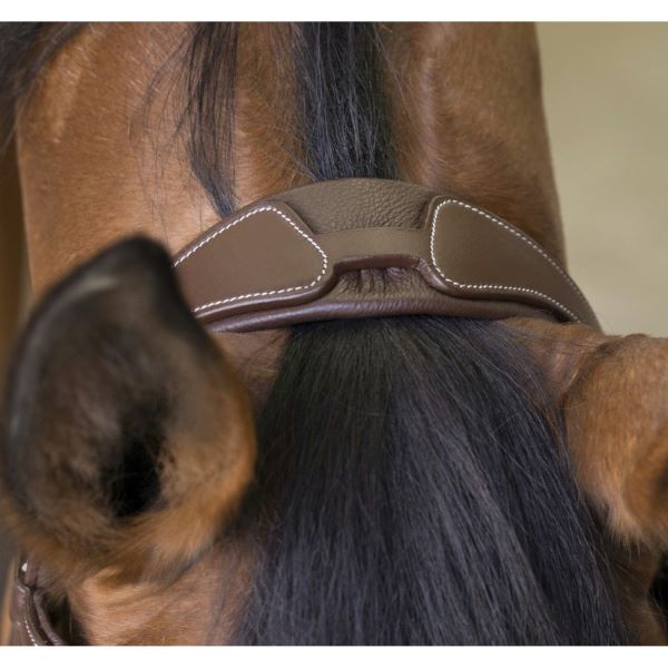 BRIDON NORTON PRO "ROCK" – Image 2