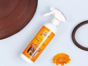 EASY CLEAN CHARLEE’S LEATHER