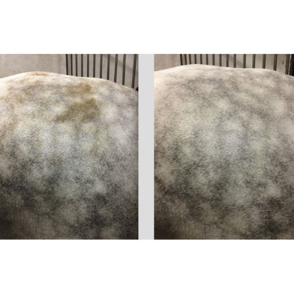 EASY SHINE MOUSS RAVENE – Image 2