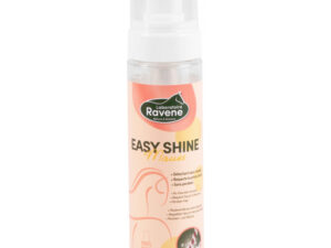 EASY SHINE MOUSSE RAVENE
