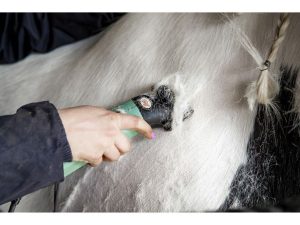 TONDEUSE LISTER « STAR », SACCOCHE