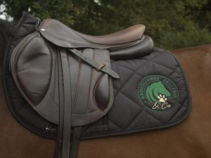 Tapis de selle