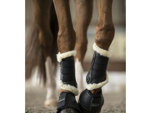 Protection du cheval