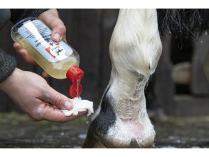 LOTION LAVANTE LEOVET « MED »