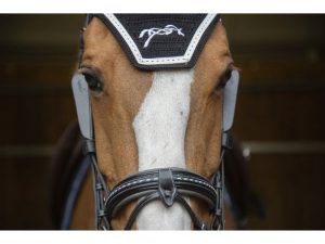 Accessoires briderie