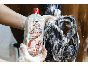 SHAMPOING LEOVET « SILKCARE »