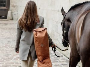 Sac à bottes Chestnut