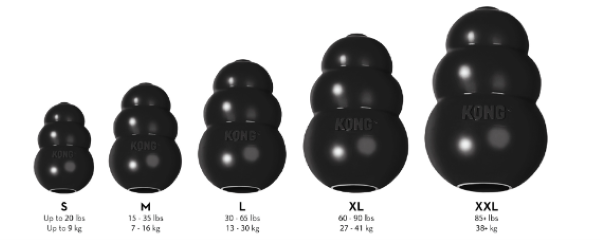 KONG EXTRÊME – Image 2