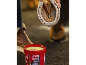 GRAISSE POUR SABOTS KEVIN BACON’S HOOF DRESSING – ORIGINAL