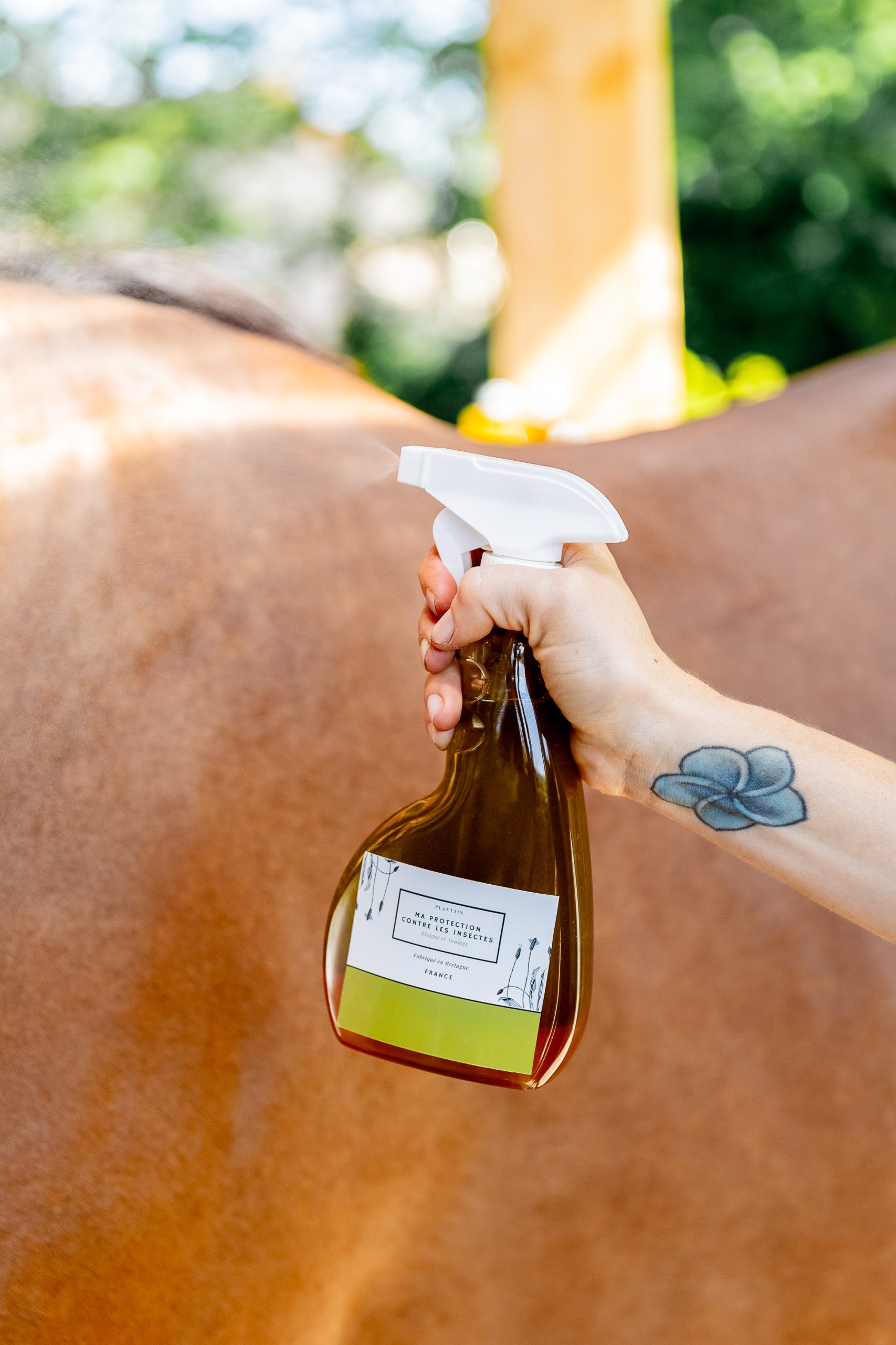 Ma protection contre les insectes – Image 2