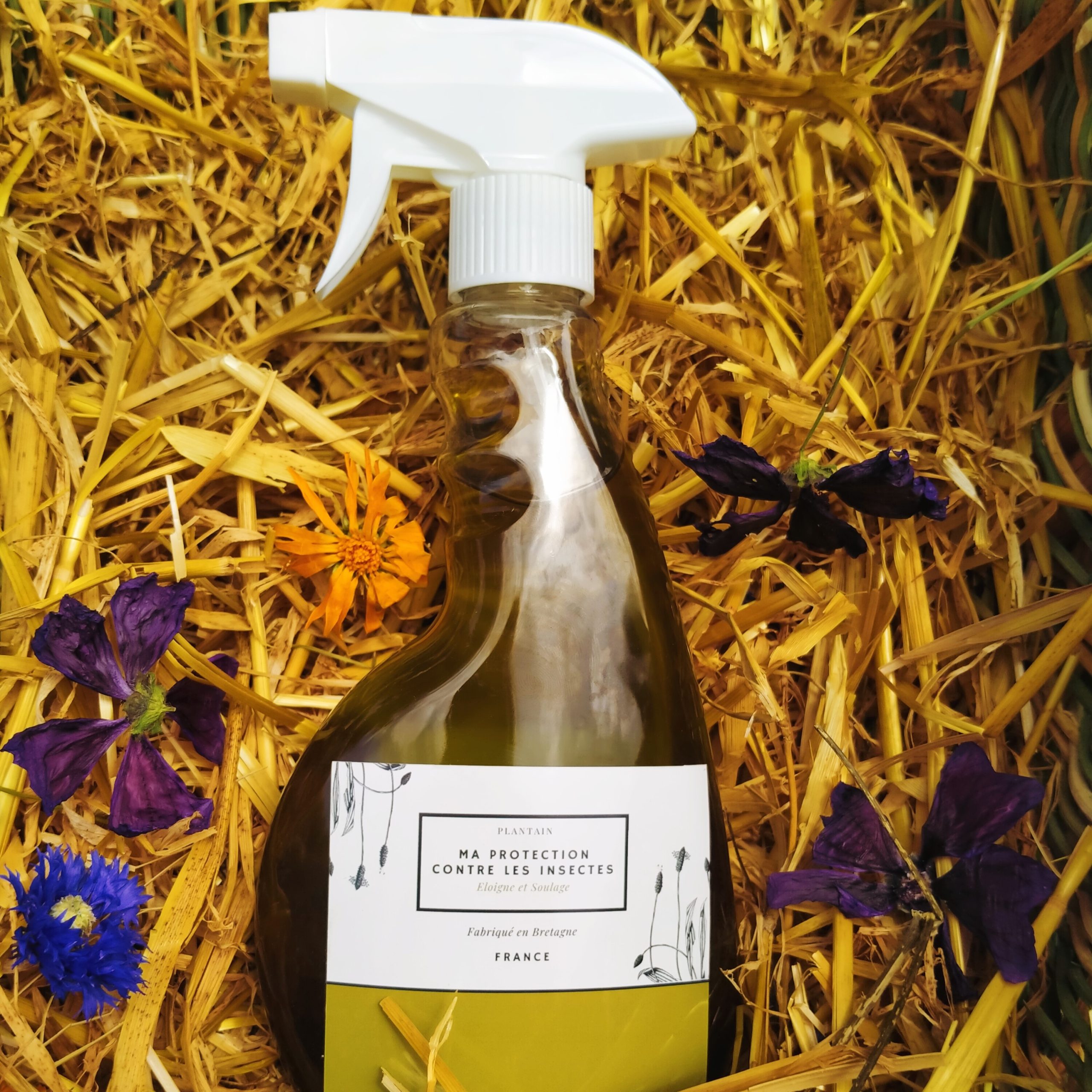 Ma protection contre les insectes