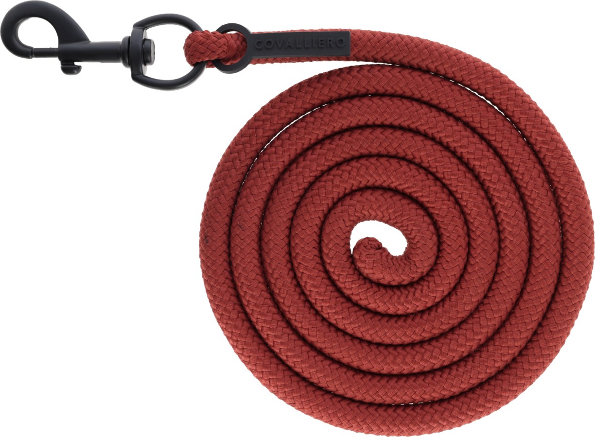 Longe Covalliero – Image 3