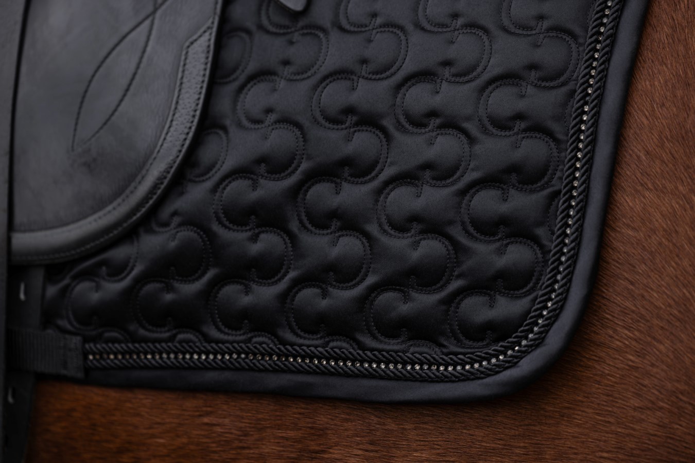 Tapis de selle Covalliero – Image 7