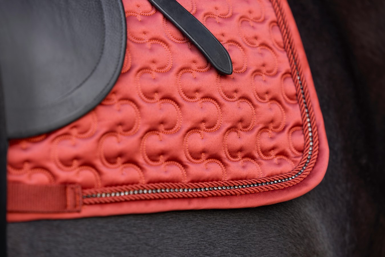 Tapis de selle Covalliero – Image 6