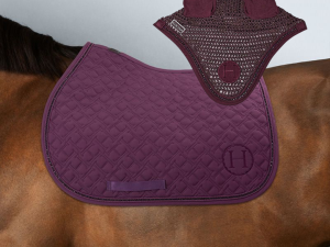 Pack tapis Saphir/ Fablir Harcour