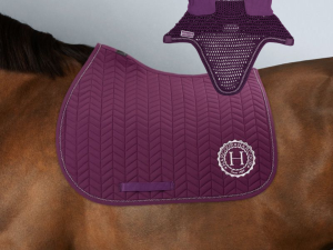 Pack tapis Alaska / Aska Harcour