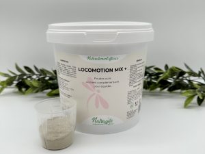 Locomotion MIX + 1kg