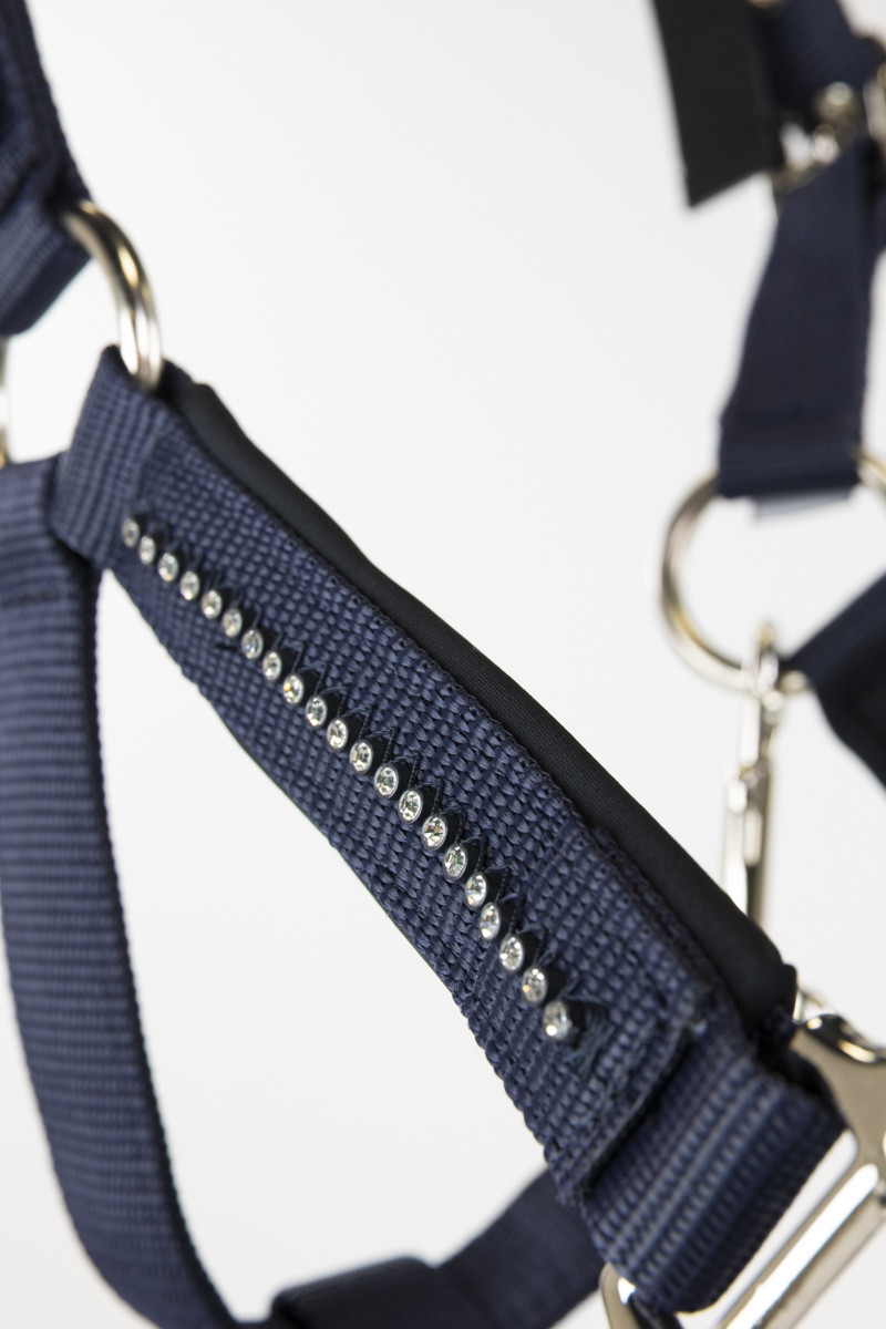 AMOUR LICOL ET LONGE – Image 13