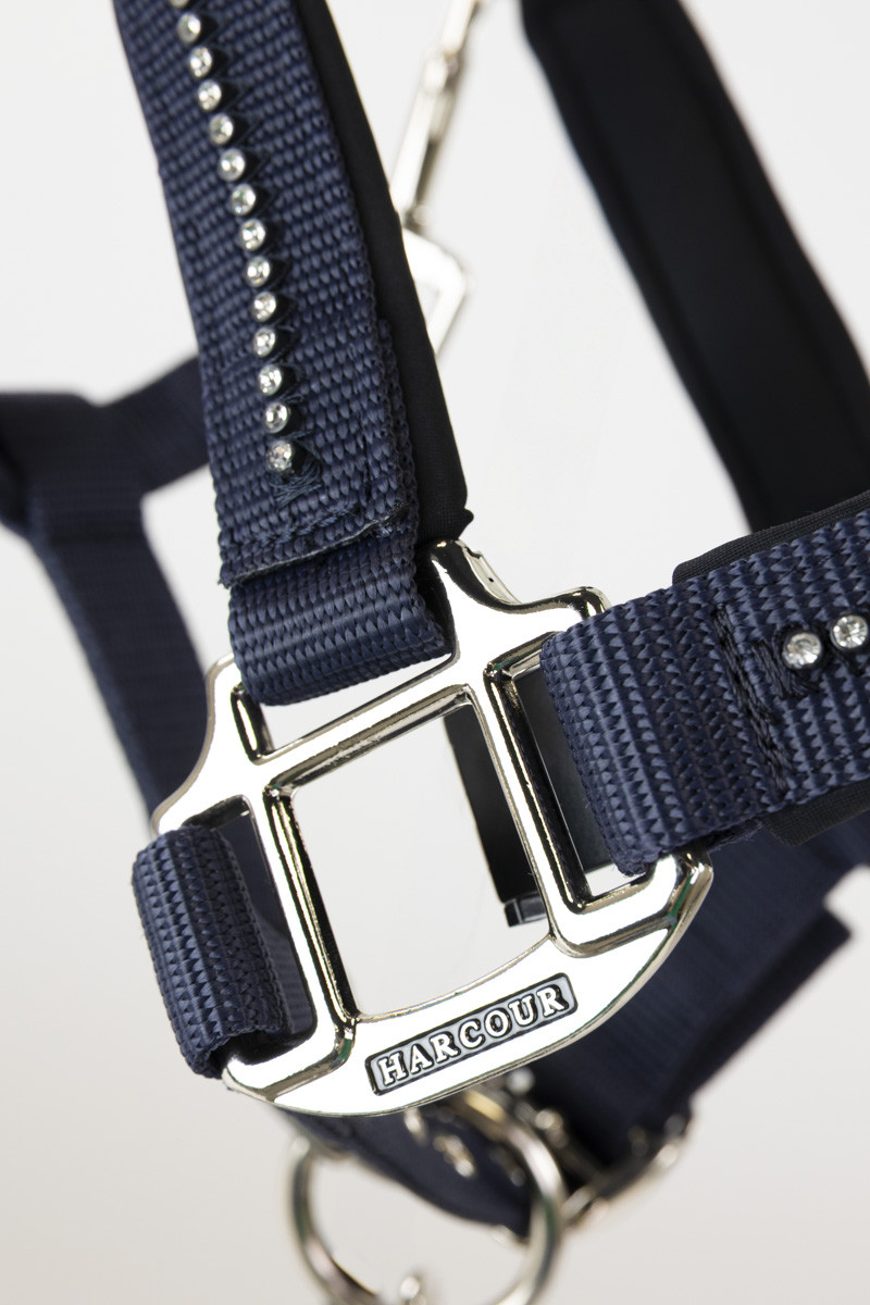 AMOUR LICOL ET LONGE – Image 15