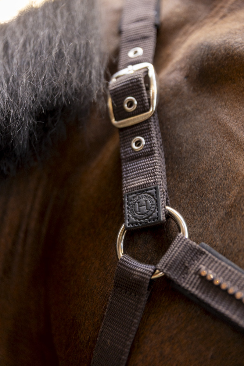 AMOUR LICOL ET LONGE – Image 8