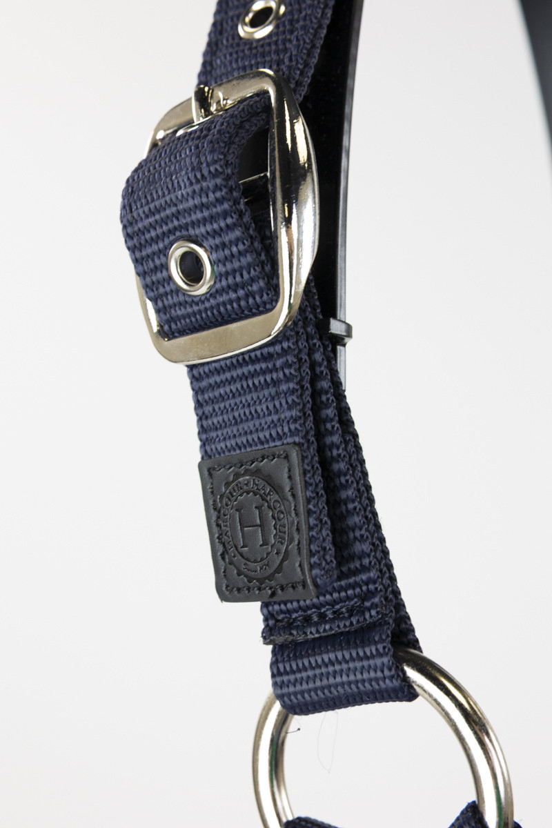 AMOUR LICOL ET LONGE – Image 14