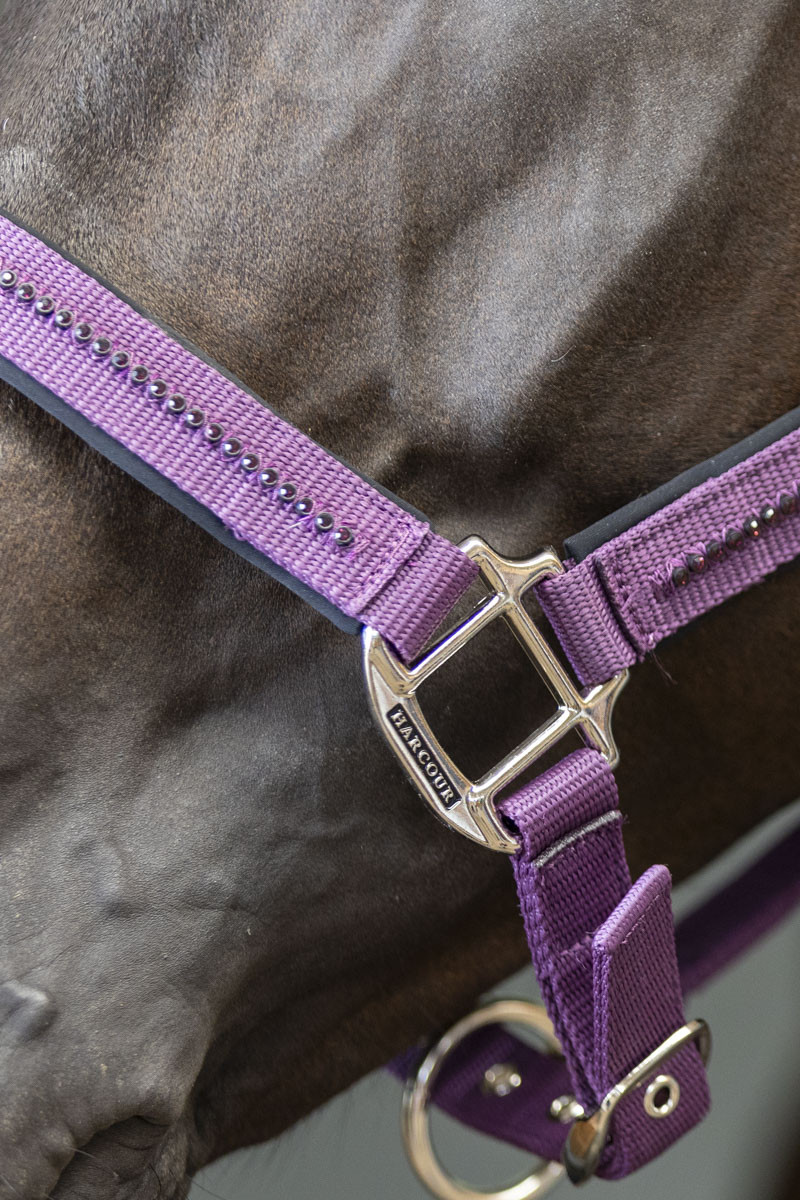 AMOUR LICOL ET LONGE – Image 11