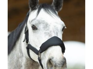 Dorai Set Licol ergonomique en mesh et longe