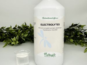 Electrolytes Liquide