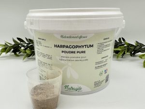 Harpagophytum Poudre 1kg