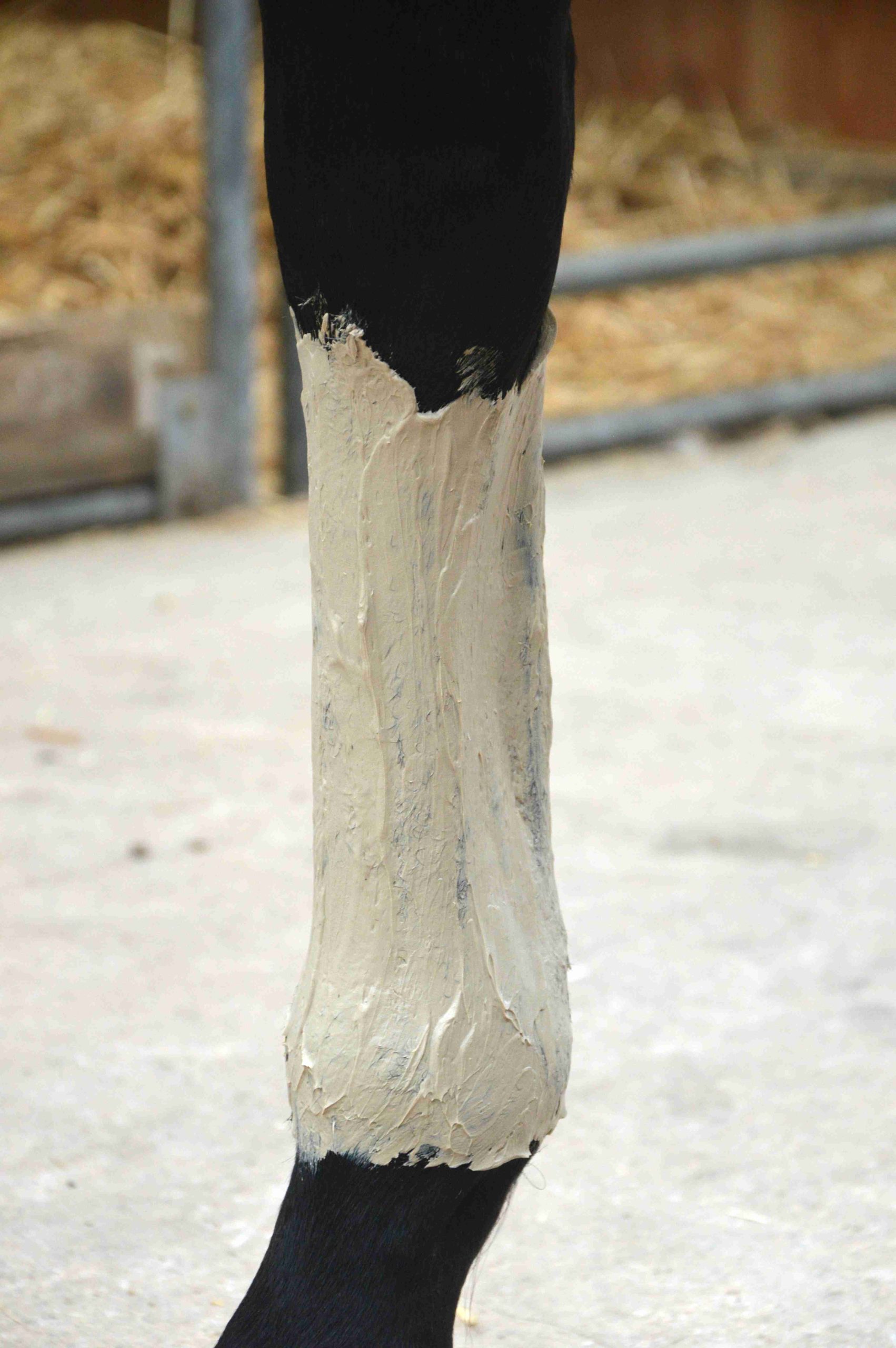 Pate d'argile Détox - Relaxante – Image 3