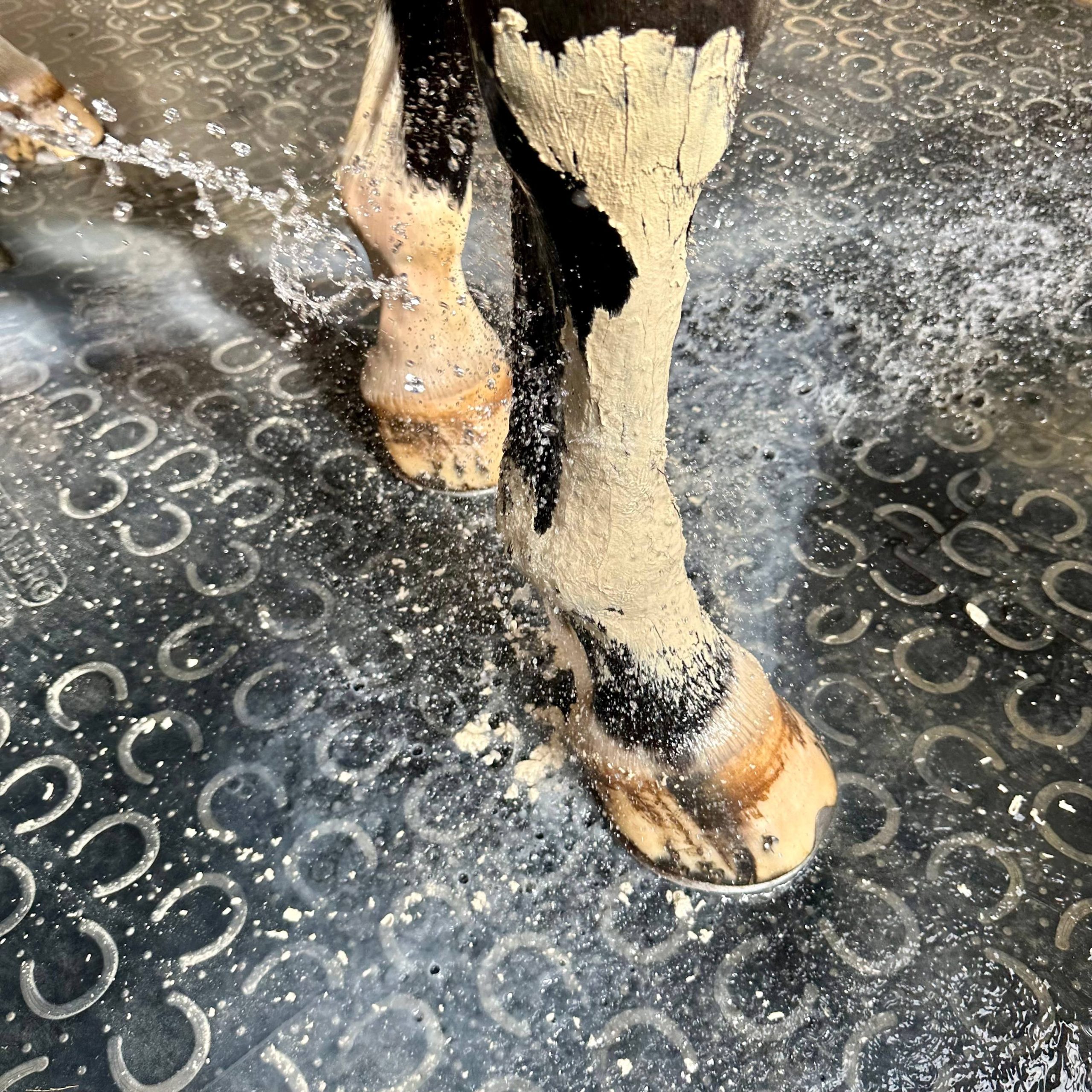 Pate d'argile Détox - Relaxante – Image 4