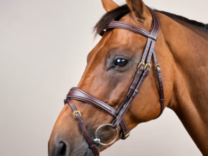 Bridon Muserolle Combinée Anatomique