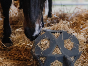Balle de jeu / balle à foin 40cm