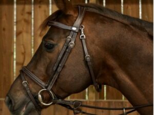 Bridon Muserolle Combinée Avec Mousqueton