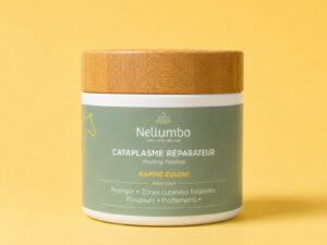 CATAPLASME REPARATEUR