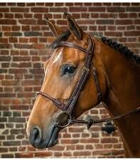 Bride avec muserolle en corde recouverte de cuir