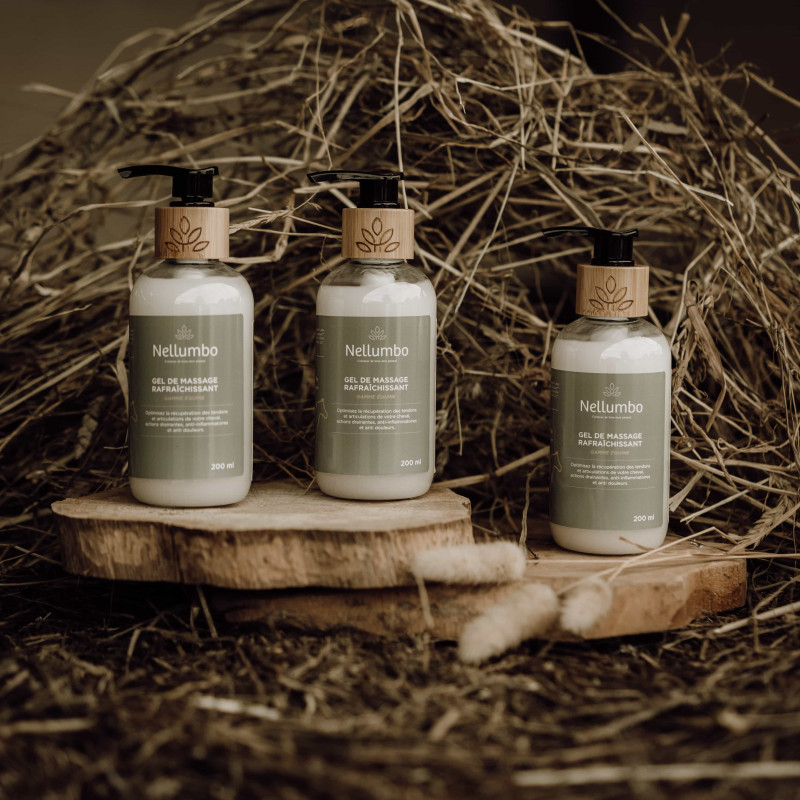 GEL DE MASSAGE RAFRAICHISSANT 200ml – Image 2