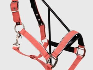 Bamara Licol Pamplemousse