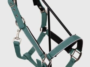 Bamara Licol Paon Cob