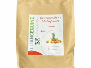 GOURMANDINE MULTIFRUITS 1.3kg