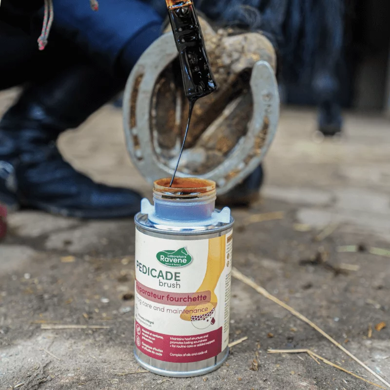 Pedicade Brush RAVENE – Image 2