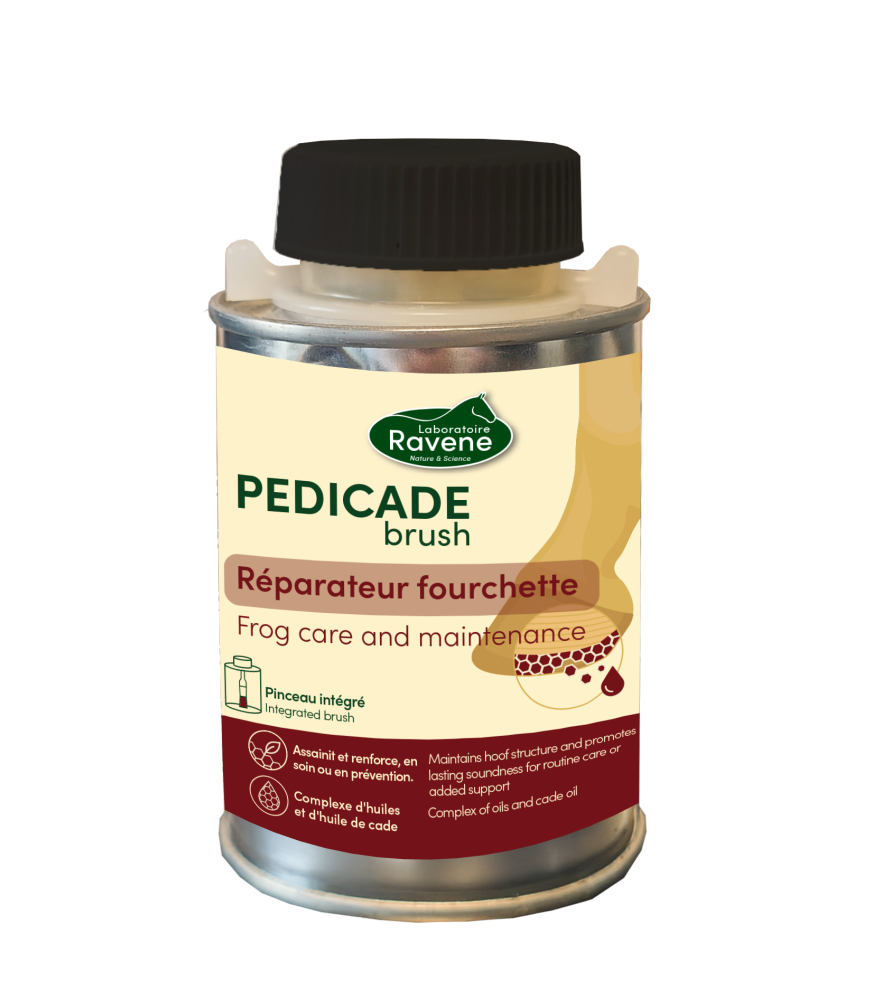 Pedicade Brush RAVENE