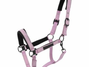 Licol EQUITHÈME - Pearl - Lavande