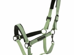 Licol EQUITHÈME - Pearl - Vert