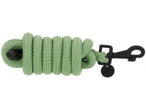 Longe EQUITHÈME - Pearl - Vert