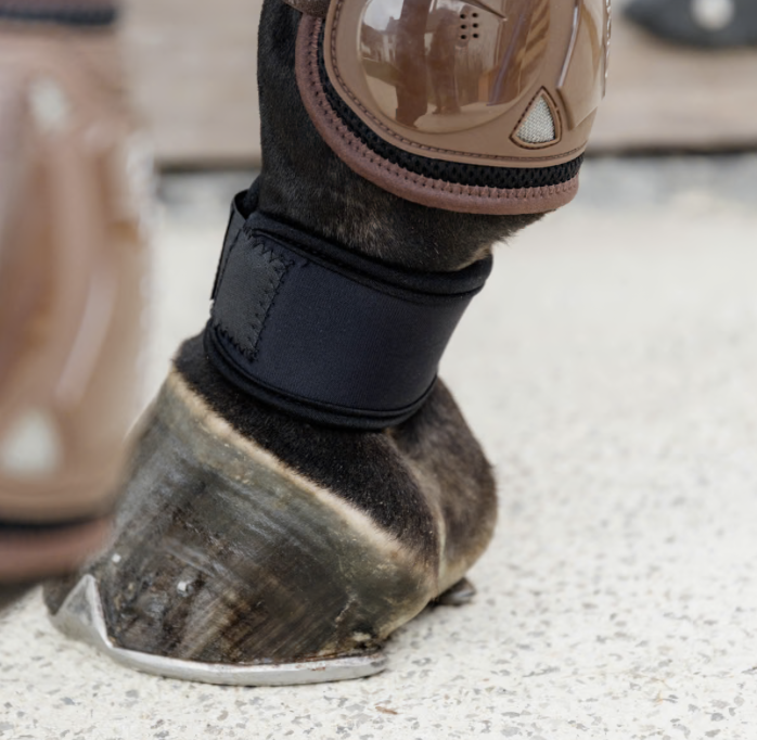 Pastern Wrap - Protège paturons – Image 3