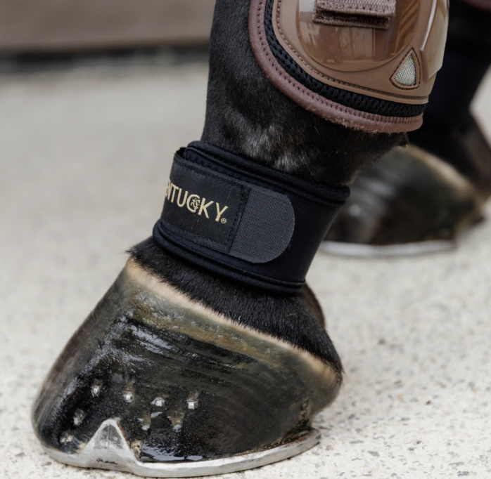 Pastern Wrap - Protège paturons – Image 5