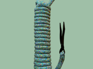 Longe 8m- Chiné bleu vert