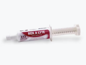 Seringue électrolytes Rek A Lite Flash Rekor 60ml