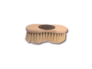 BROSSE INFINI CACTUS